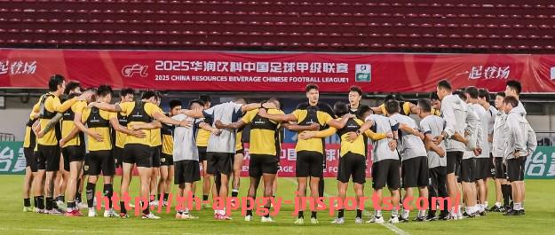 江南体育APP-德甲球队遇到降级球员的处理方式与调整策略