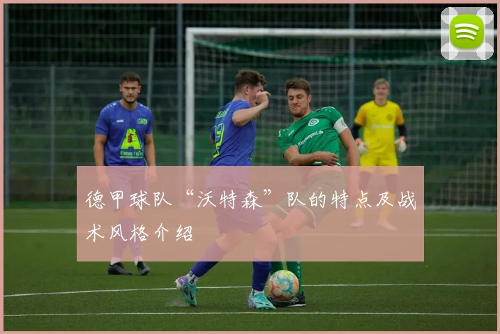 德甲球队“沃特森”队的特点及战术风格介绍