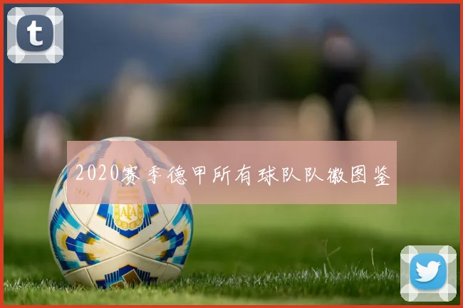 2020赛季德甲所有球队队徽图鉴