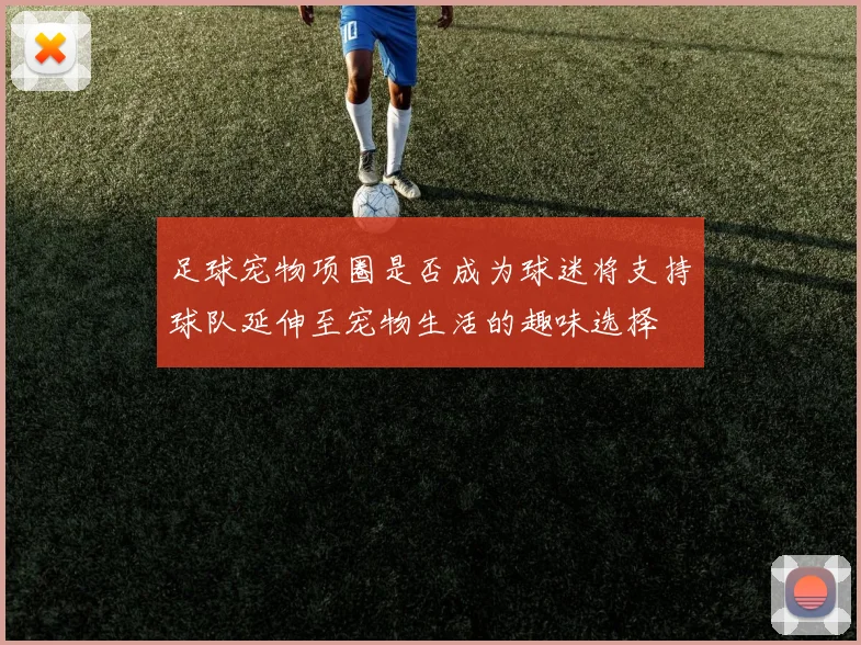 足球宠物项圈是否成为球迷将支持球队延伸至宠物生活的趣味选择