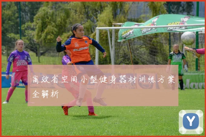 高效省空间小型健身器材训练方案全解析