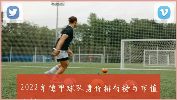 2022年德甲球队身价排行榜与市值分析