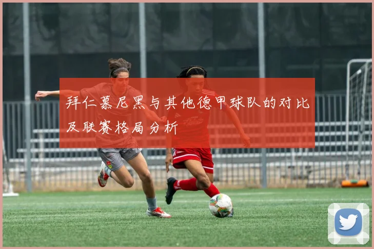 拜仁慕尼黑与其他德甲球队的对比及联赛格局分析