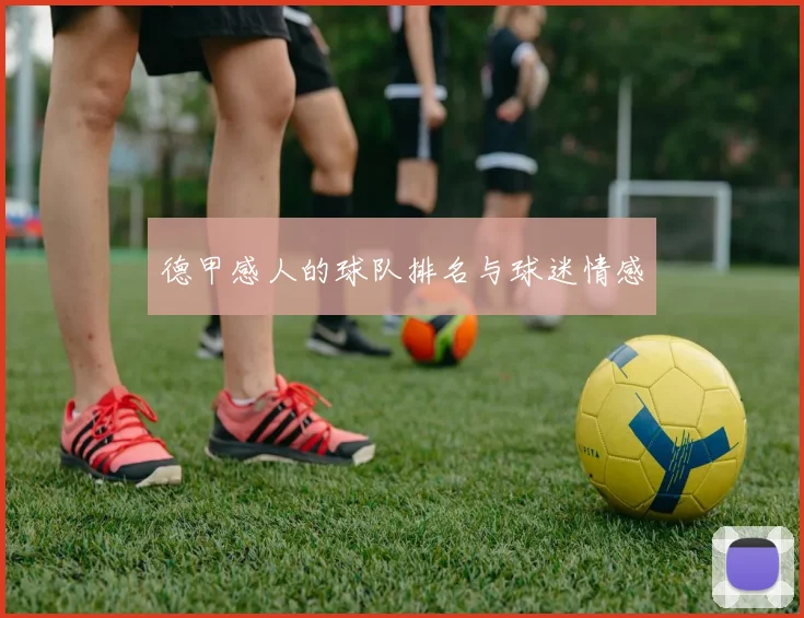 德甲感人的球队排名与球迷情感