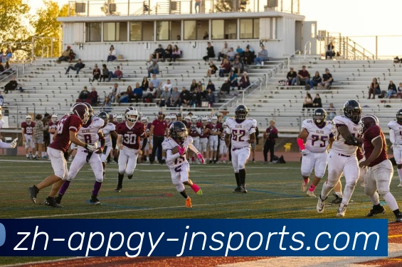 江南体育全站App